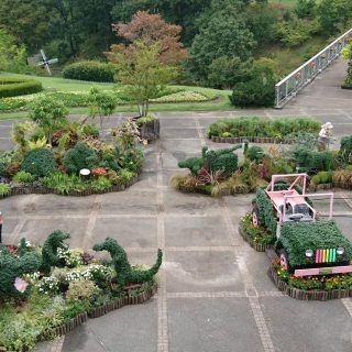 清水園芸｜野菜苗・懸崖菊・菊のトピアリーの生産・販売｜京都府向日市